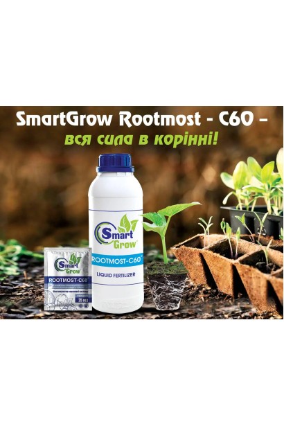 Рутмост-С60 купити за низькою ціною в Києві